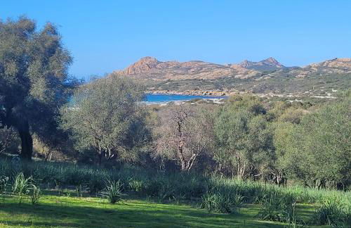 Charmant petit logement à 3 kms de la plage - Foto 3