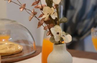 Fuga dalla Città App Fieno - Foto 12