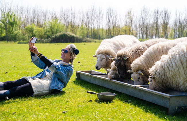 Overe - The Farm Camp - Foto 7