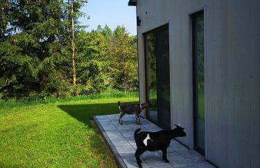 Żywiołowo - domki w stylu stodoły z placem zabaw i stawem - ZIEMIA - Foto 13