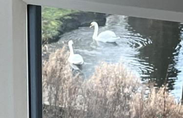 Marina view 1 - Foto 29