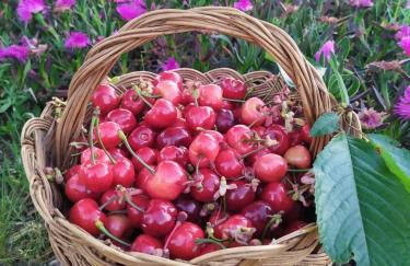 Pago de Yuste - Casa Rural Apartamentos - Foto 21