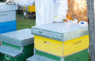 Agriturismo da Natalino - Foto 64