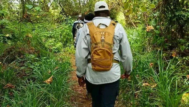 Trekking por el bosque de Kimakia - Foto 5, Durante la ruta de senderismo