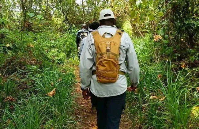 Trilha pela floresta de Kimakia - Foto 5