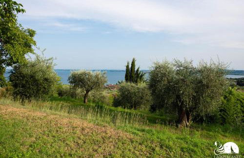 Residenza Elena - Foto 6