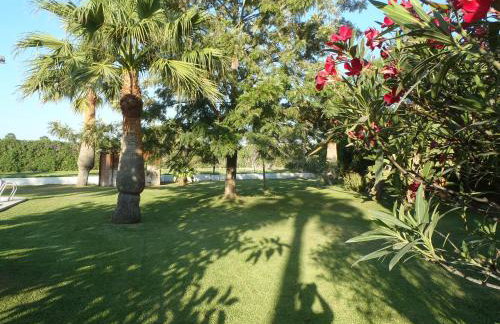 ABULAGAR - Foto 12