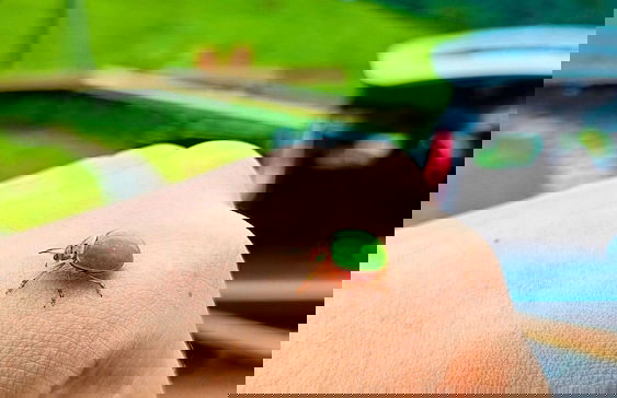 Refúgio Serra da Tartaruga - Foto 45