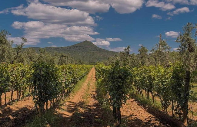 Apartment in Monteverdi Near Wine Tours - Foto 29