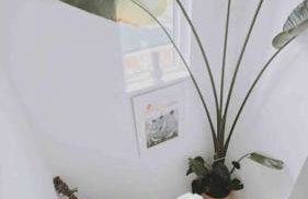 Family Home with Sauna & Garden - Foto 18