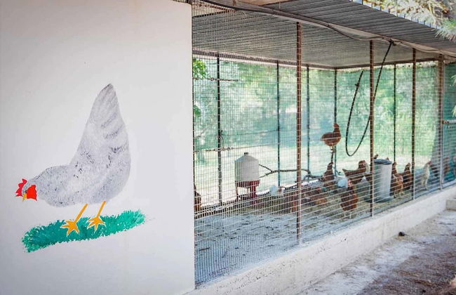 Torre Casciani - Foto 41