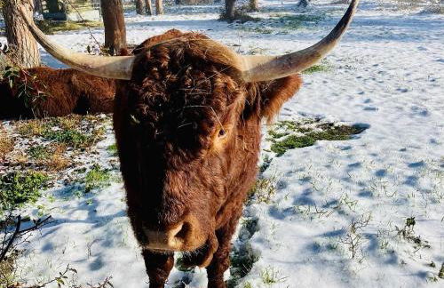 Charmante maison au coeur d'un village auvergnat - Foto 31