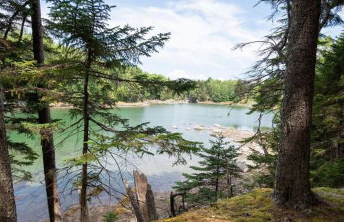 Secluded Cabin With Ocean Access - Foto 6