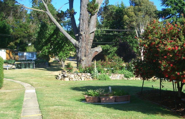 Rainbow Pines Tourist Caravan Park - Foto 26