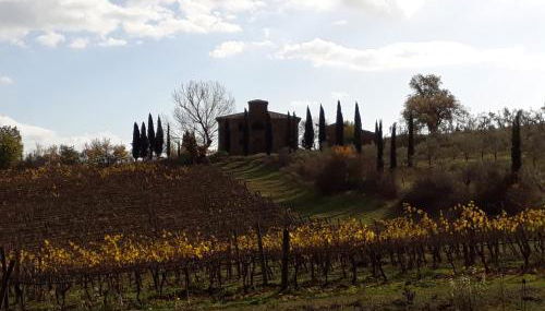 Podere Pievina Delle Corti - Dimora di Campagna - Foto 3, Garden, Garden view