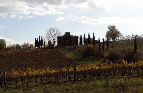 Podere Pievina Delle Corti - Dimora di Campagna - Photo 3