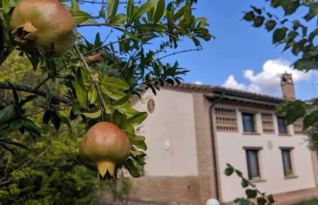 La Fonte di Montebuono - Foto 59