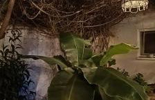 CityZen Apartment - Foto 10