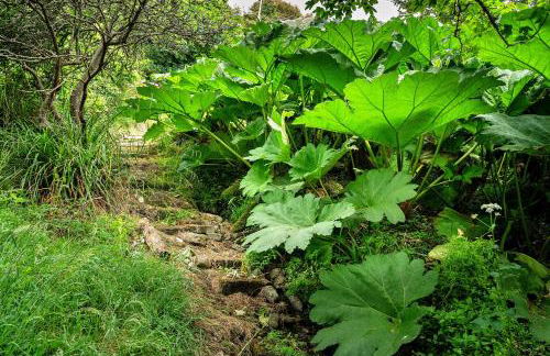 Finest Retreats - Tregatreath - Foto 22