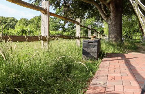 Oak Meadow - Foto 38