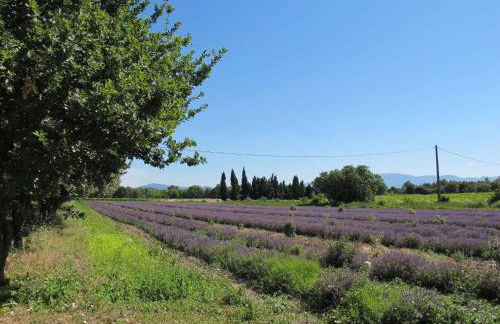 Holiday Home La Grive by Interhome - Foto 70