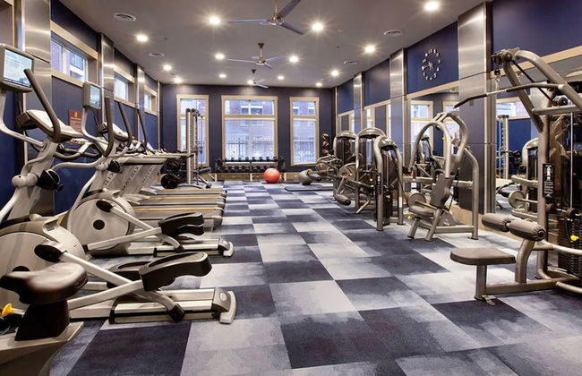 Luxury Penthouse of Lorton VA - Foto 9