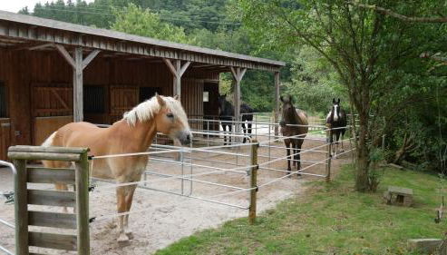 Ride & Relax Ferienwohnung, FeWo, Kurzurlaub - Foto 2