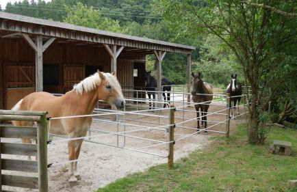 Ride & Relax Ferienwohnung, FeWo, Kurzurlaub - Foto 2