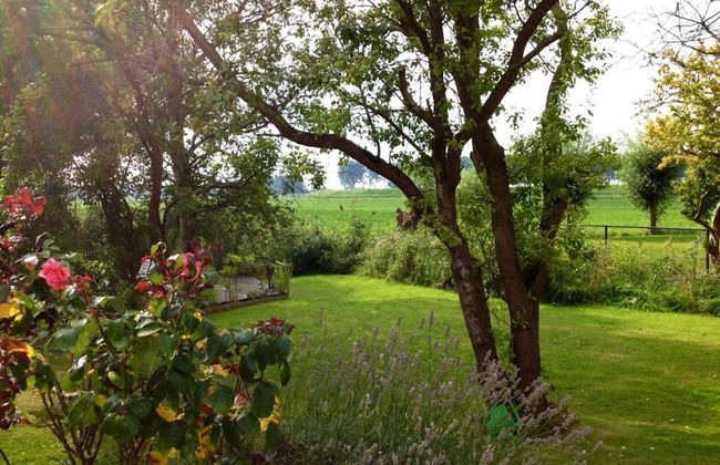Dike House Near Breskens With Stream Garden - Photo 30