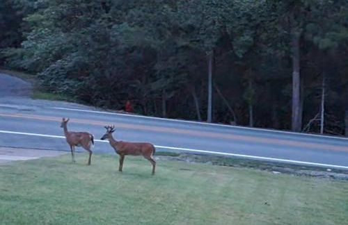 My Hideaways Serinity Hill - Foto 24