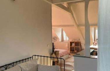 Grande chambre indépendante, charme, calme sur jardin, Nantes centre, accès privé par escalier de l'immeuble, sdb & wc privés, 10 minutes gare et palais des congrès - Foto 5