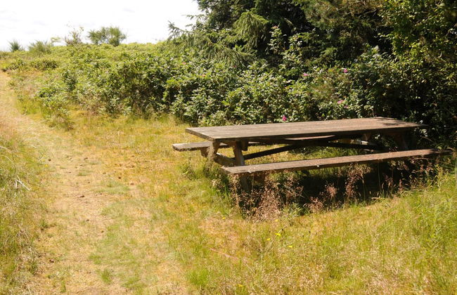 "Kalv" - 75m from the sea - Foto 12