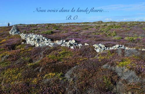 Le Clos des Agapanthes - Foto 37