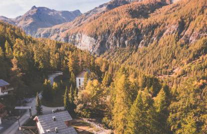 Ski et Détente Les Orres 1650 Animaux OK - Photo 39