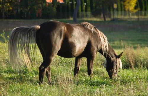 Spreebogenhof - Foto 34