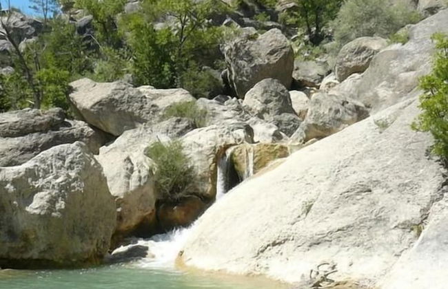 Domaine du Couriou - Foto 64