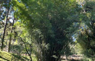 Memora Guesthouse Bateias - Casa Inteira e quartos em chácara - Photo 77