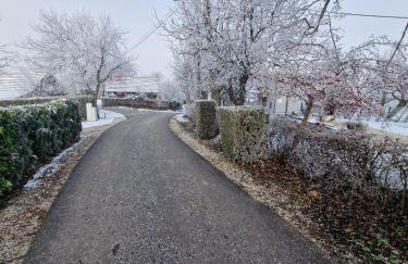 Holiday home Hižica v plavem trnacu - Foto 4