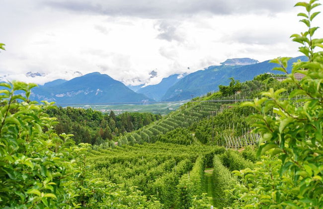 Belvilla by OYO Charming Apartment in Brez With TV - Foto 34