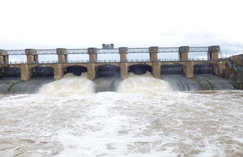 La Sucursal - Foto 12