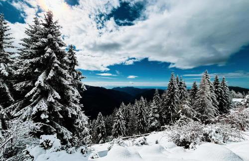 La Cabane de Marie - Foto 28