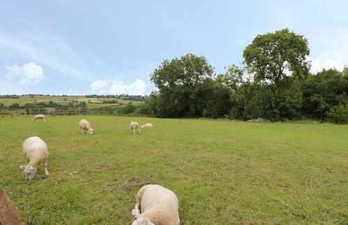 Holmer Farm - Foto 19