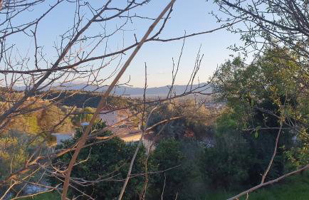 Best House, Green Home, Elaiofyto Village, Agrinio, Aitoloakarnania - Foto 33