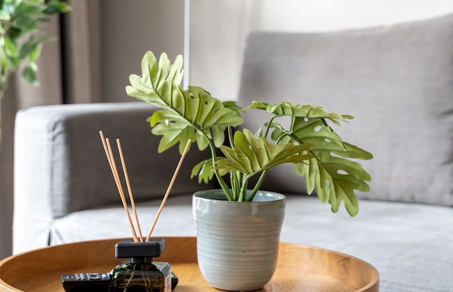 Limehome Berlin Chausseestrasse - Foto 47