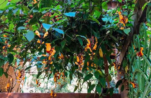 Loft Aconchegante em Meio à Natureza - Foto 56