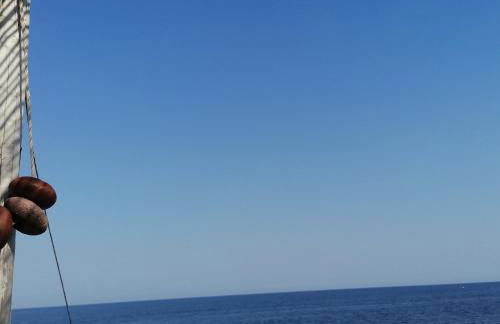 Villa Marigiosa Salento - Foto 33