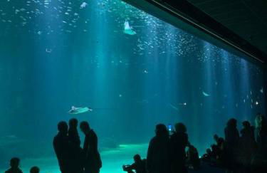 Appartement de 95 m2 bien situé - Foto 31