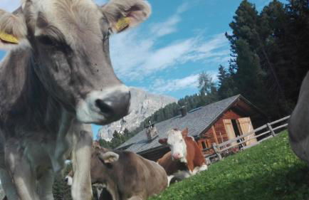 Oberpiskoihof - Photo 25