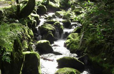 WEITBLICK "entspannen - wohlfühlen - aktiv erholen" - Foto 33