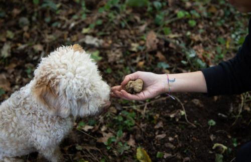 Agriturismo Ca' del Re - Foto 61